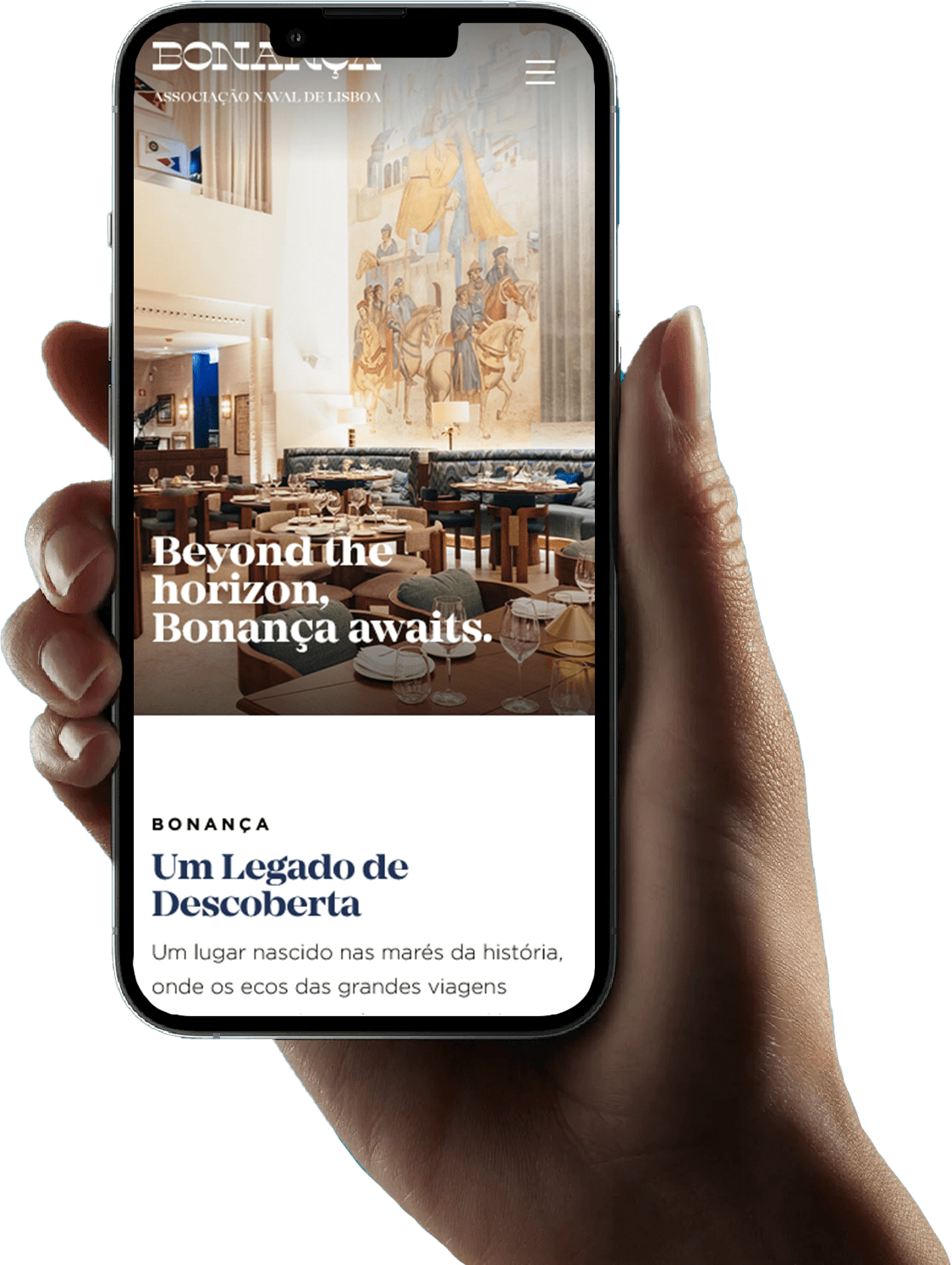 Bonança - Criação de website