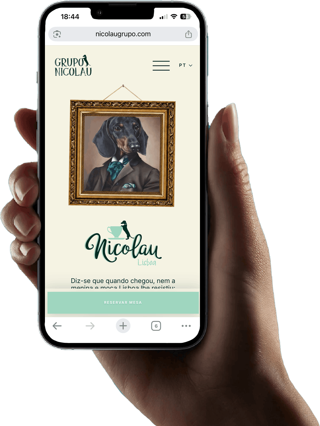 Grupo Nicolau - Criação de website